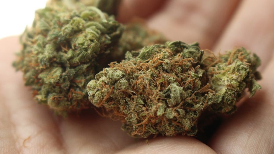 Weed