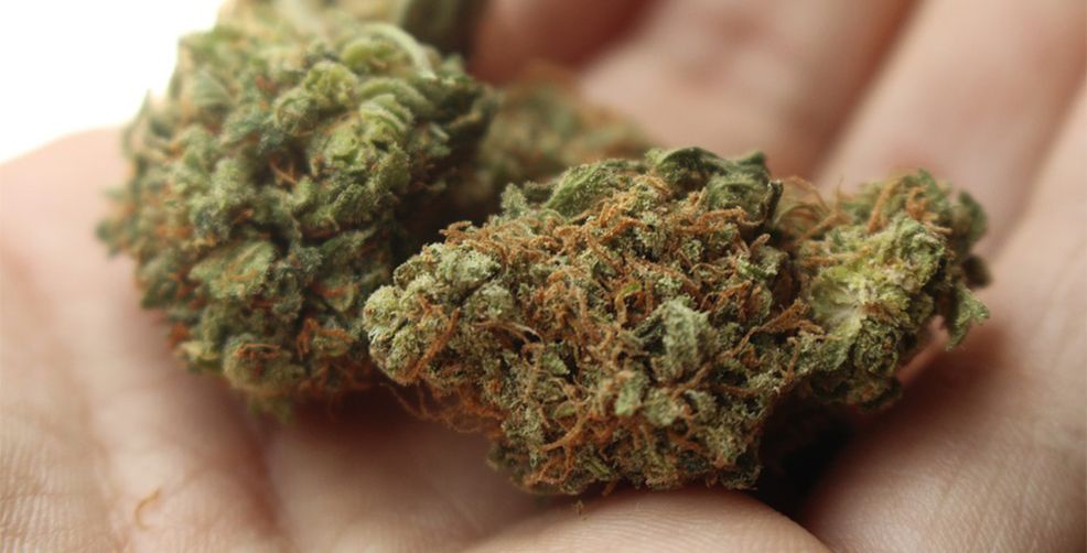 Weed