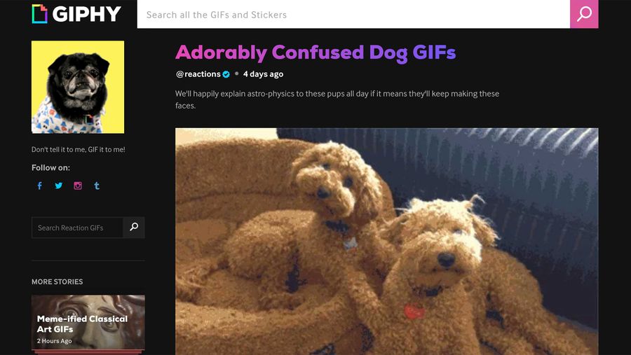 Giphy stories