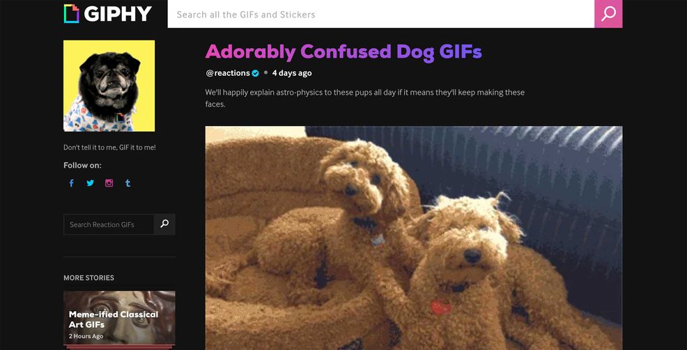Giphy stories