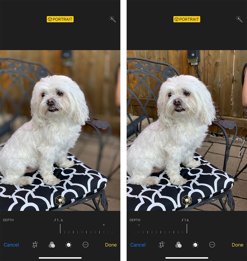 Live depth-of-field control coming to iPhone XS, XS Max