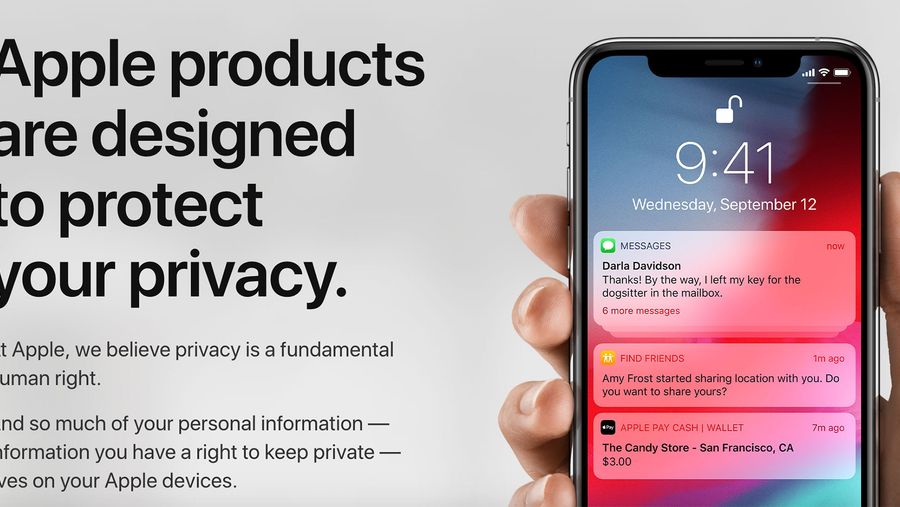 Apple privacy