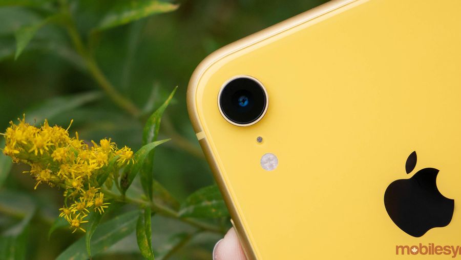 iPhone XR