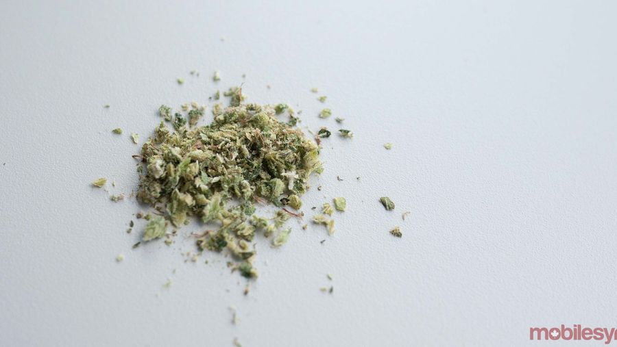 Cannabis