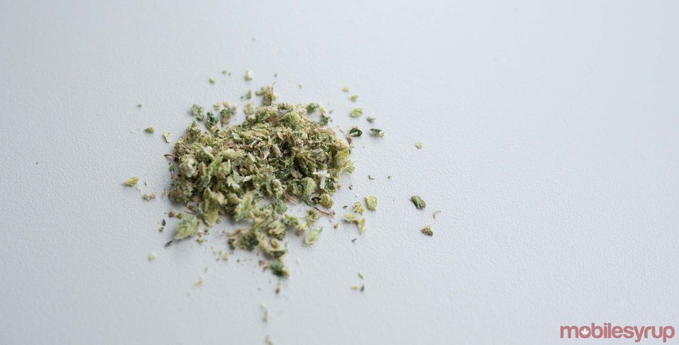 Cannabis