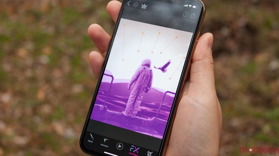 Plotaverse app