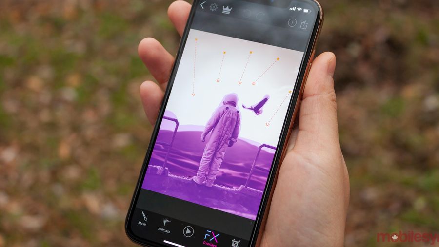 Plotaverse app