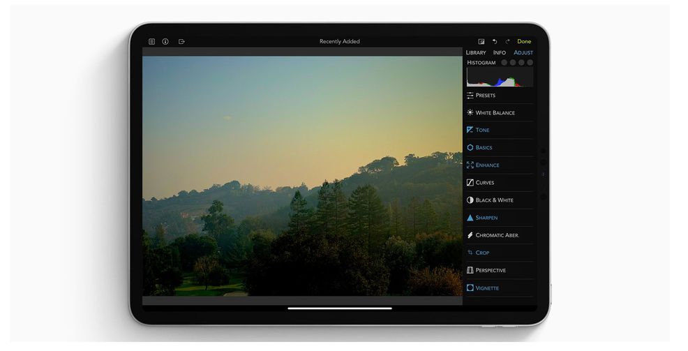 The new RAW APP on iOS and macOS