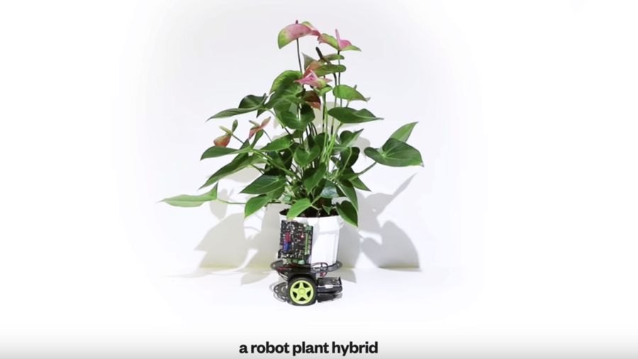 MIT uses robotics to keep plants alive