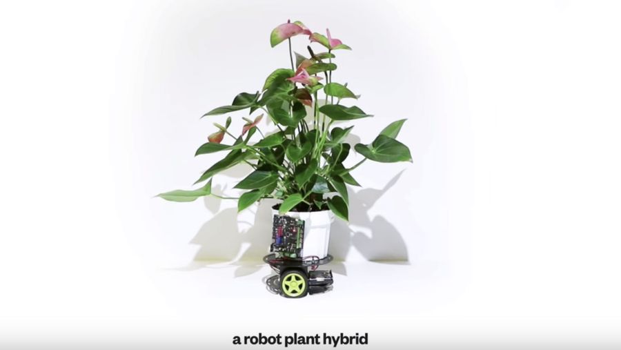 MIT uses robotics to keep plants alive