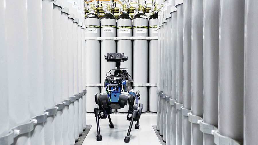 ANYmal robot
