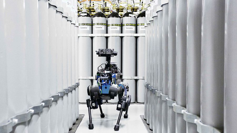 ANYmal robot