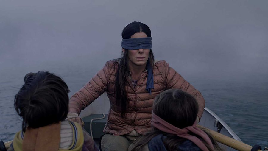 Bird Box Sandra Bullock