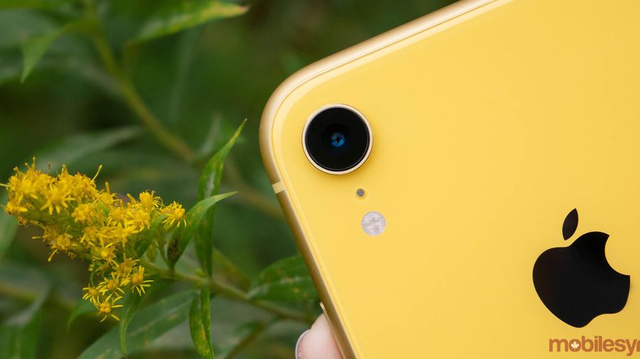 iPhone XR yellow