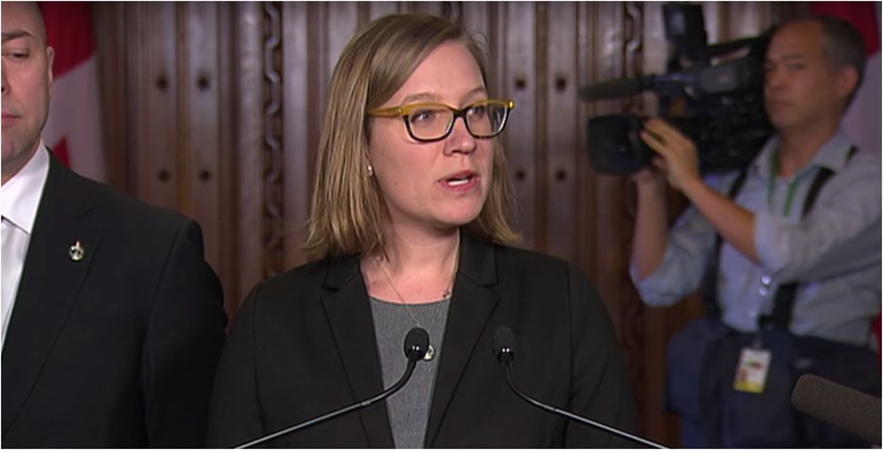 Democratic Institutions Minister Gould to convince Google to make online ad registry