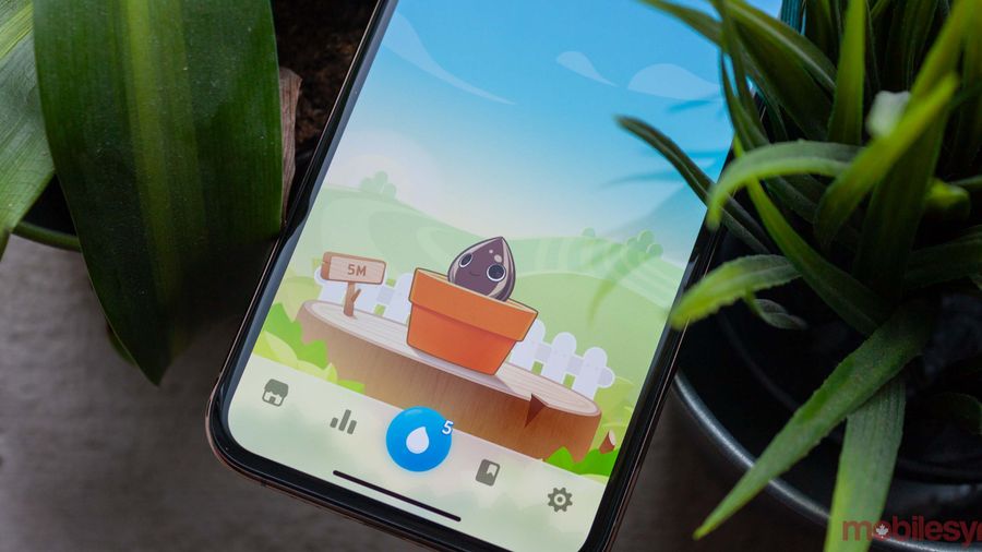Plant Nanny2