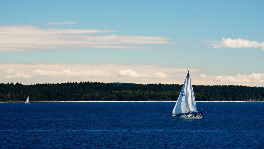 Sailboat