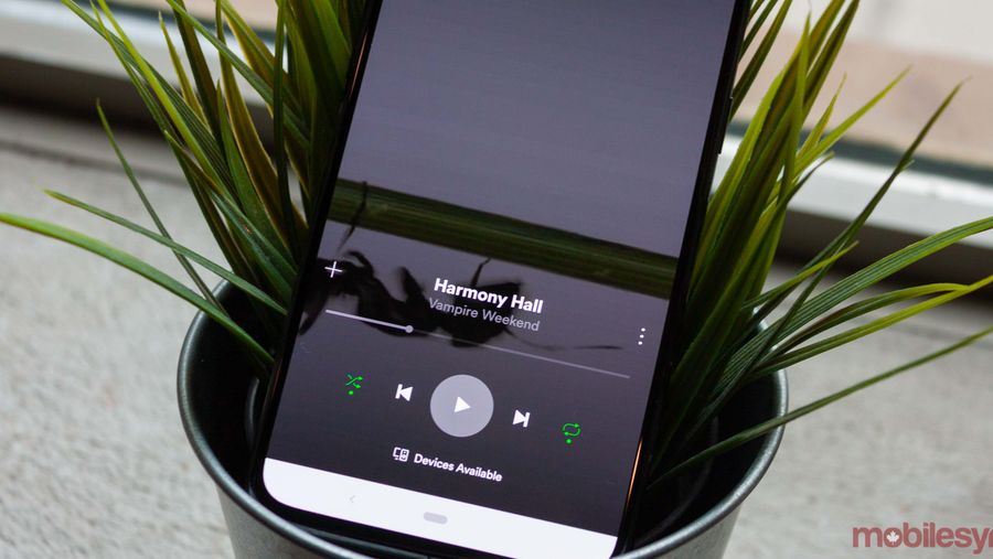 Spotify canvas