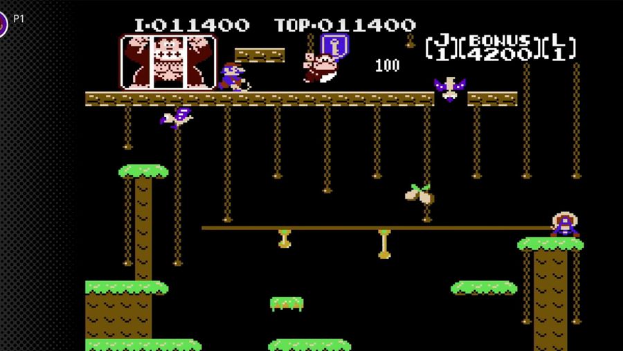 Donkey Kong Jr. gameplay
