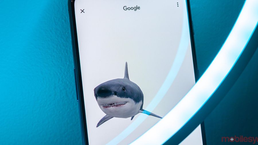Great white shark Google AR animals