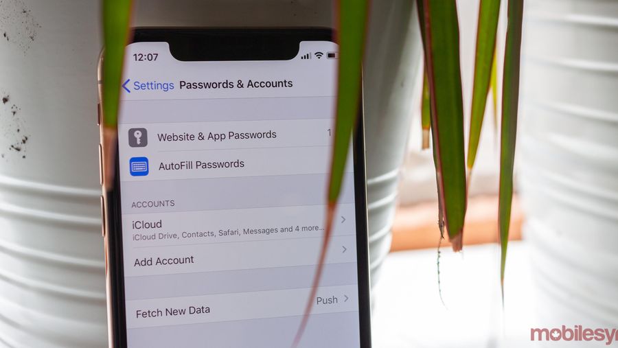iOS 13 security bug