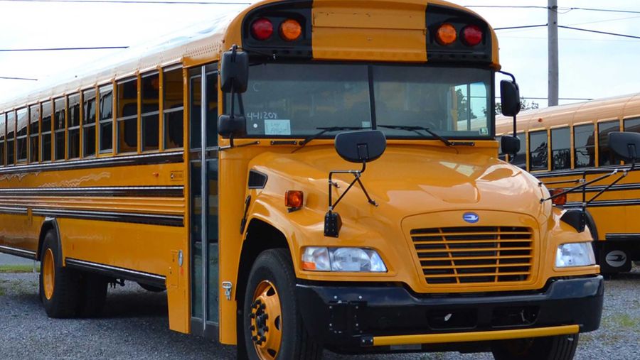 school bus