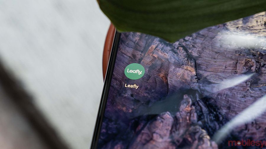 Leafly app