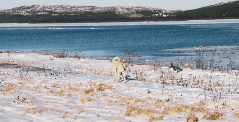 From roadless to the technological runway: Quebec’s Lower North Shore gets LTE