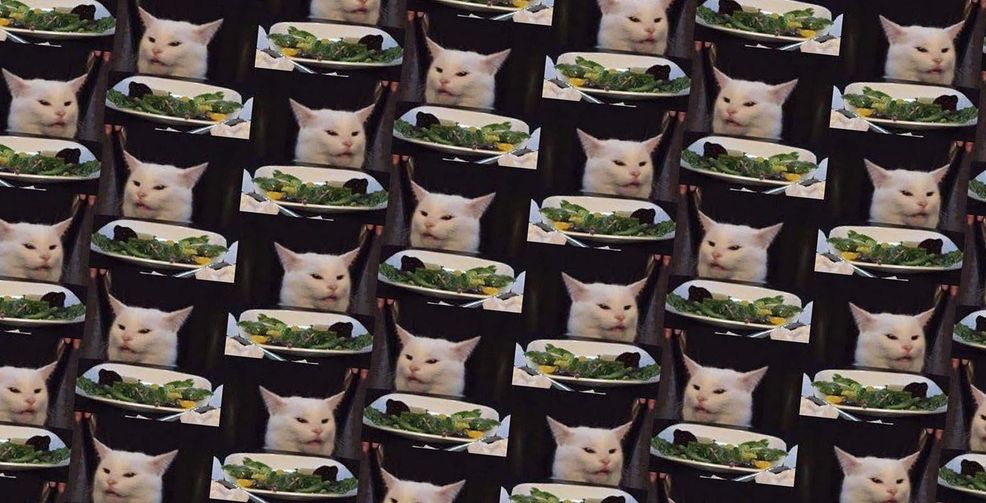 Unimpressed cat from popular meme lives in Ottawa