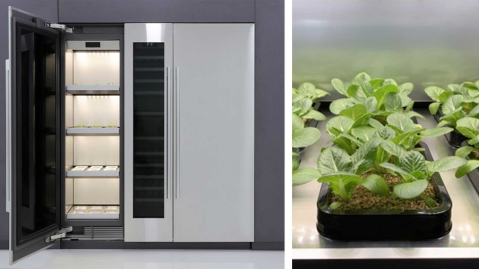 LG shows off giant fridge-sized indoor greenhouse