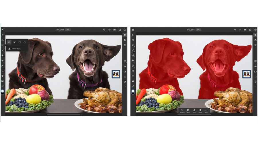 Photoshop for iPad