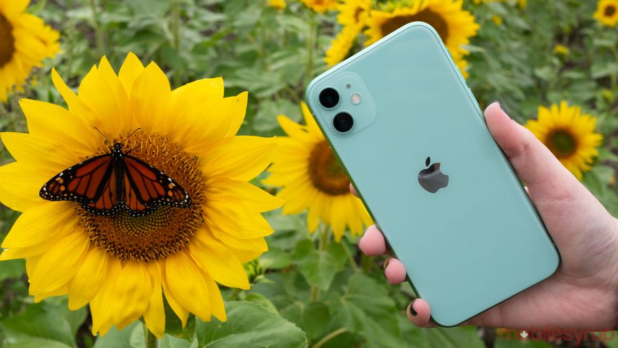 iPhone 11