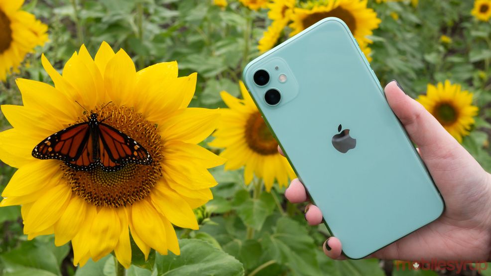 iPhone 11