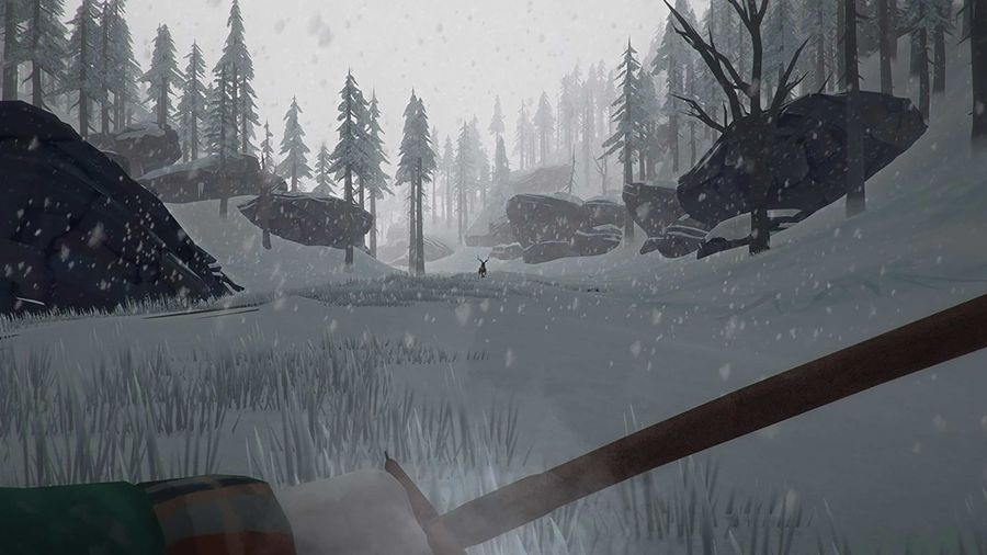 The Long Dark