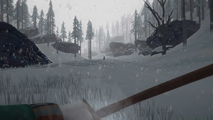 The Long Dark