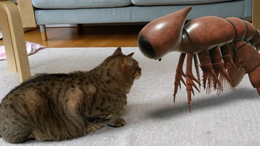 Google Arts & Culture ancient creatures