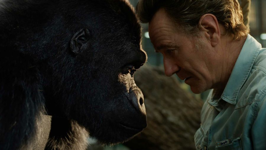 Bryan Cranston in The One and Only Ivan