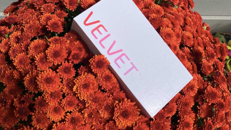 Bell LG Velvet Contest