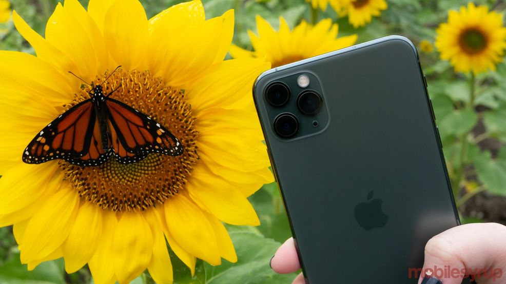 iPhone 12 Pro and iPhone 12 Pro Max leak in blue, graphite, gold and silver colours