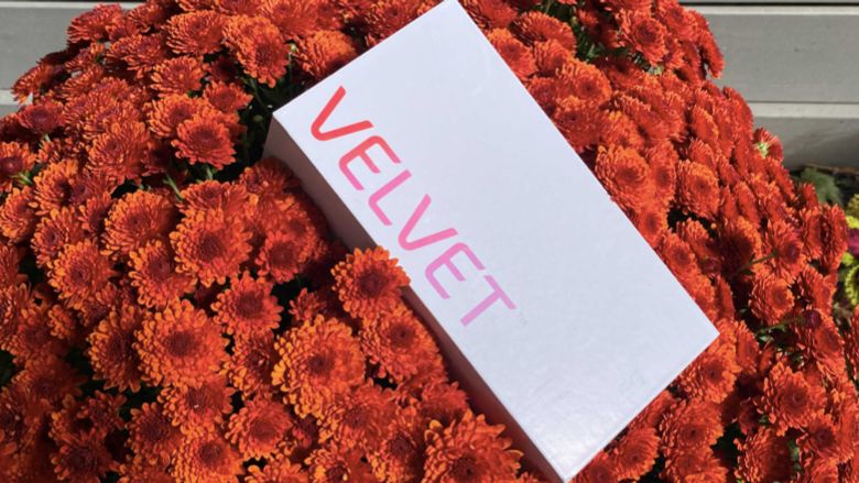 LG Velvet