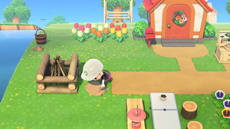 Animal Crossing: New Horizons