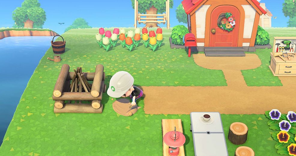 Animal Crossing: New Horizons