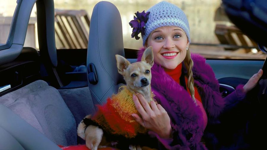 Legally Blonde
