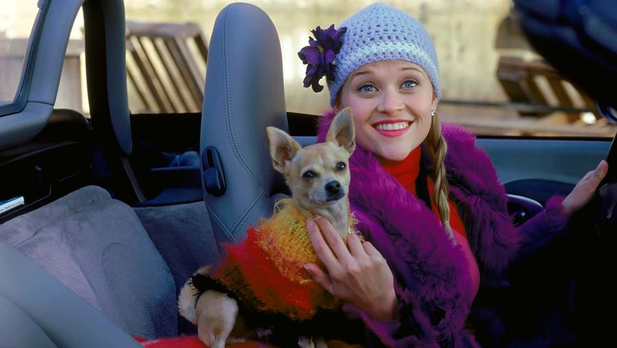 Legally Blonde