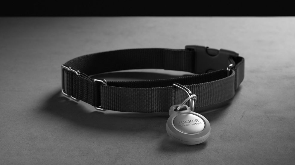 Nomad Pet ID Airtag