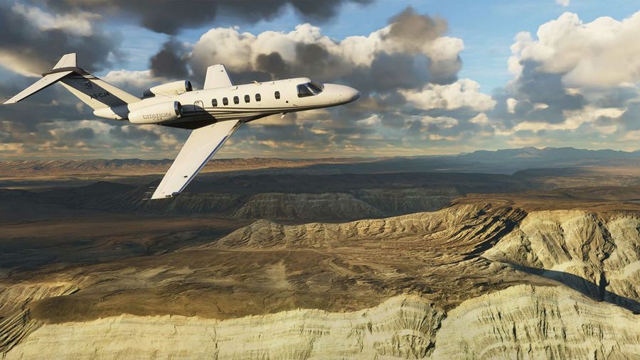 Microsoft Flight Simulator