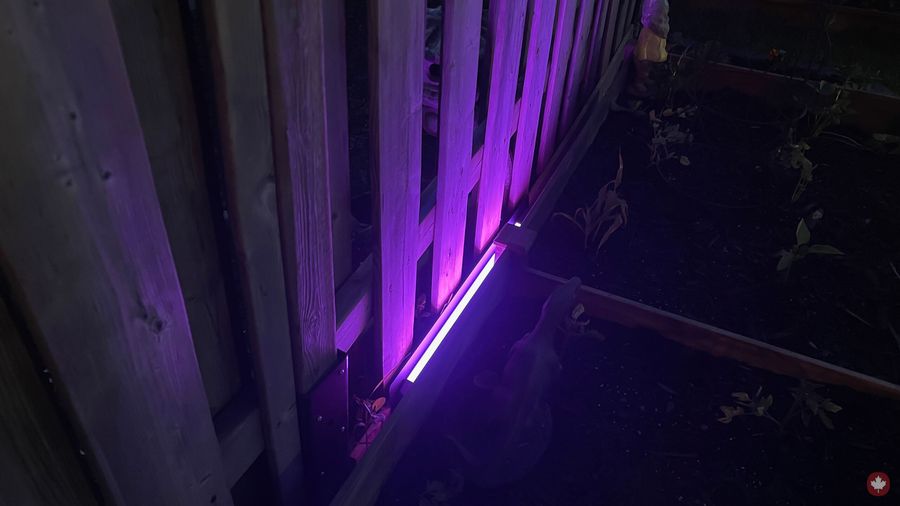 Philips Hue Amarant Light