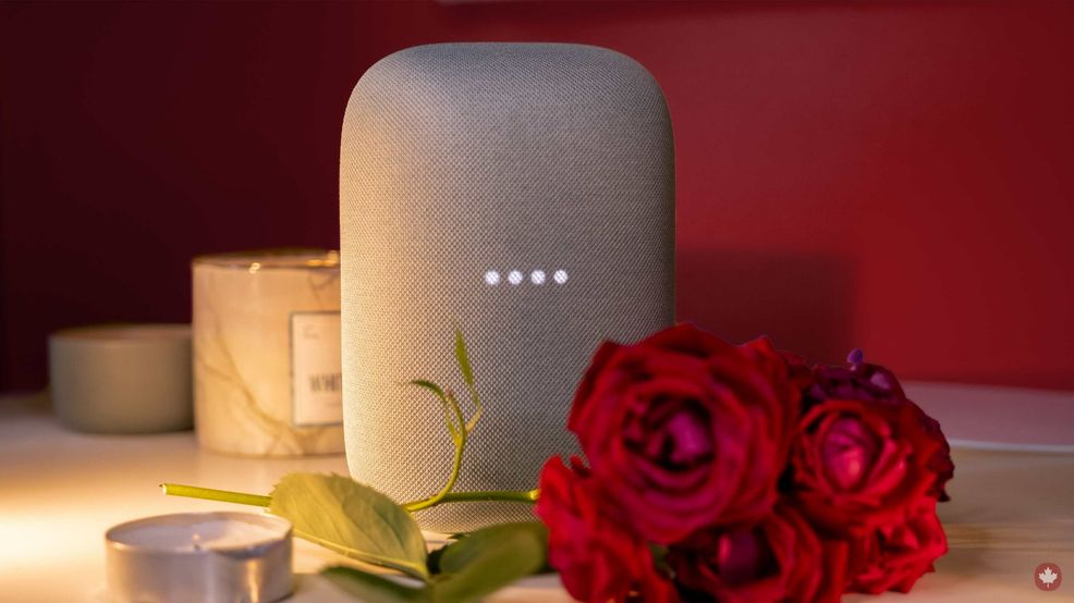 New Google Assistant Skill offers sexual advice
