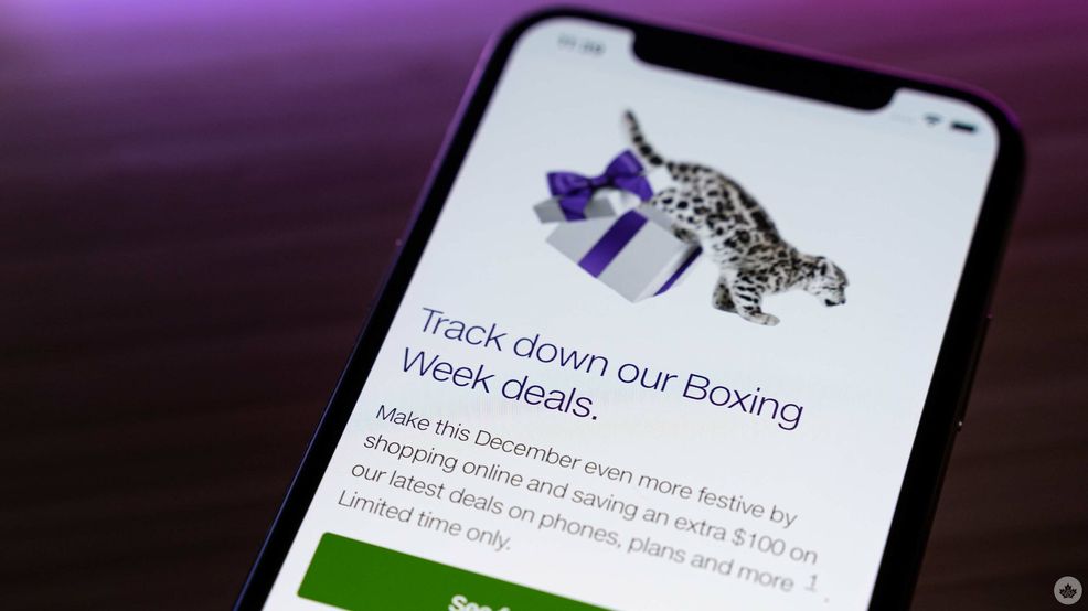 Telus Boxing Week