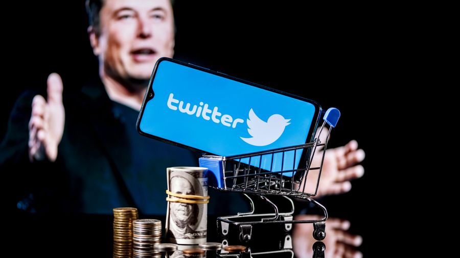 Elon Musk with Twitter logo